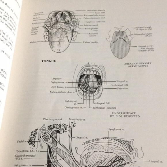 𝅺REVIEW of Gross Anatomy 2nd Edition 1969 Softcover - Picture 7 of 10